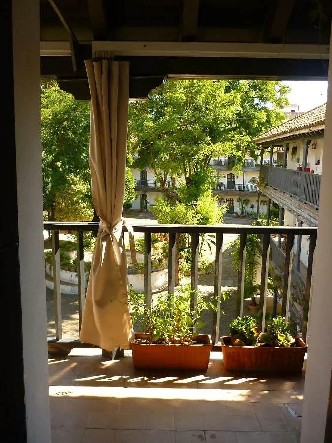 Un Oasis En El Corazon De Sevilla Lägenhet