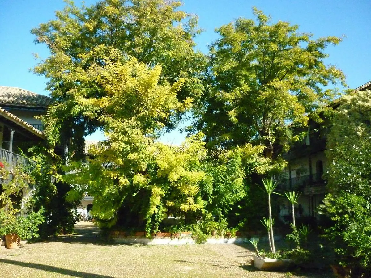 Un Oasis En El Corazon De Sevilla Lägenhet